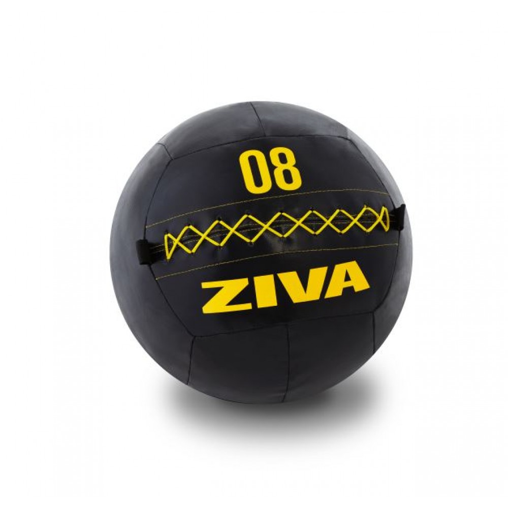 ZVOPremium Wall Ball 3kg